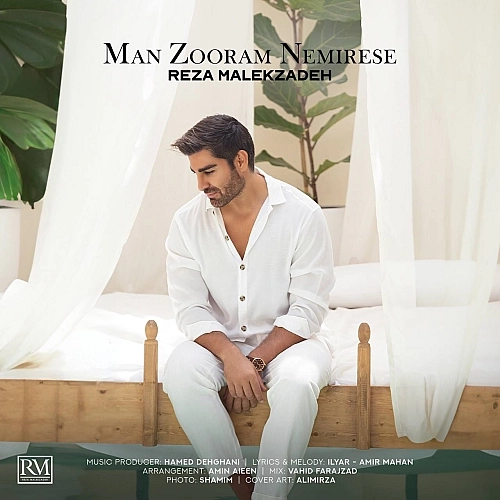 Cover artwork for Man Zooram Nemirese by Reza Malekzadeh